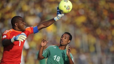 Vincent Enyeama, left, is Nigeria's most capped player but his future with the national team has been thrown into doubt. Simon Maina / AFP
