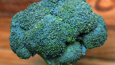 Vitamin K is found in green leafy vegetables, such as broccoli, as well as vegetable oils and cereal grains. PA