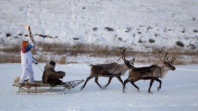 A torchbearer riding atop a deer sleigh, near Yakutsk, the capital of Sakha (Yakutia) Republic, about 4,830 km east of Moscow during the Sochi 2014 Winter Olympic torch relay. Sochi 2014 Organizing Committee / AFP Photo