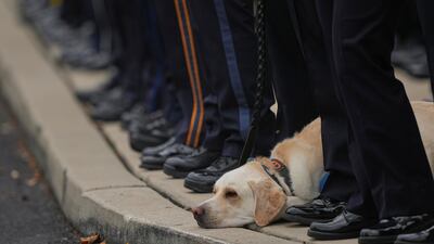 A dog accompanies officers gathered for the funeral of detectives Cody Michael Becker, Mark Edward Baker and Isaiah Emenheiser, who were shot dead while trying to arrest a suspect, in Red Lion, Pennsylvania, US. AP