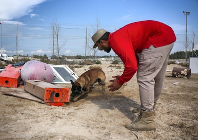 Dubai Police's dog unit help officers solve crime - Ben finds a pouch of illegal drugs, suspected to be hashish. Victor Besa / The National