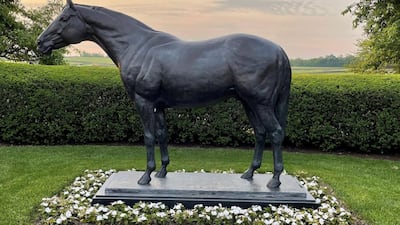 Thoroughbred AP Indy lived most of his life at Lane's End Farm, where he was born and raised, and stood his entire stud career. Photo: Lane's End