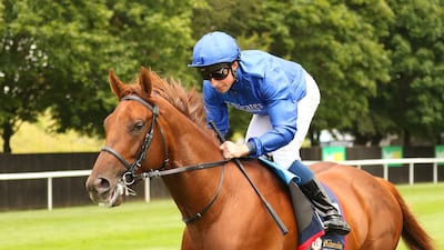 Jockey William Buick and Castle Way will be aiming to win the Group 2 Dubai City of Gold which could earn them a spot in the $6 million Dubai Sheema Classic. Shutterstock