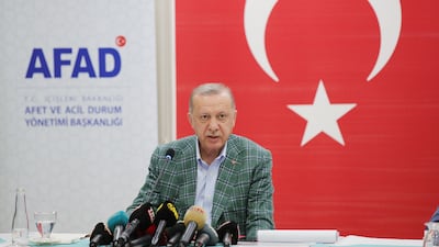 Recep Tayyip Erdogan claimed to reporters that one of the wildfires in Mugla province was started by children. While summer wildfires are common in southern Turkey, the authorities have said some were caused by arsonists.