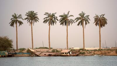 Iraq's Ministry of Agriculture says progress has been made in increasing date palm production, with numbers increasing from 11 million to 17 million in 10 years.