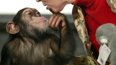 Goodall with Pola, a young chimpanzee, in Budapest Zoo in December 2004, more than 40 years after she began her pioneering study of the primates. AFP
