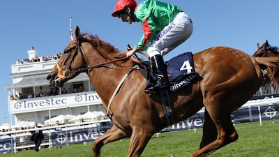 Dancing Rain is a daughter of Danehill Dancer. Adrian Dennis / AFP