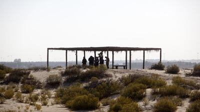 Journalists tour the Al Wathba Wetland Reserve in Abu Dhabi.. Christopher Pike / The National