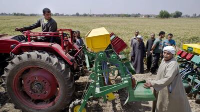 Farmers in Kafr Hamouda village, about 100 kilometres north-east of Cairo, Egypt, use a plough that helps reduce water consumption, only a quarter of which is absorbed by crops using traditional practices. Amr Nabil / Associated Press