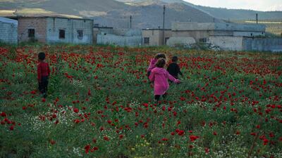 The flower fields are an area for children to play in