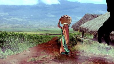 There is no global food shortage, but there are localised shortages due to natural disaster or economic failure. (Courtesy Dan Goldman)