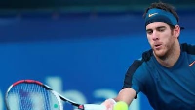 Juan Martin del Potro thought his rival was 'very solid'. Marwan Naamani / AFP