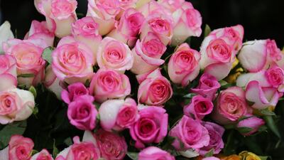 Disappointed that your partner didn't pull a Kanye and gift you a 1,000 roses? EPA / Piyal Adhikary