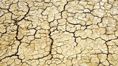 Experts attribute Syria's drought to a combination of climate change, man-made desertification and a lack of irrigation - some of which is blamed on official mismanagement.