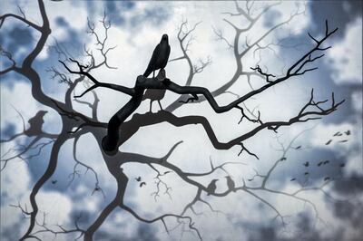 Opposite Attracts at Opera Gallery features works by Alfred Haberpointer and Pascal Haudressy (pictured, a detail of Corbeau by Pascal Haudressy). Opera Gallery