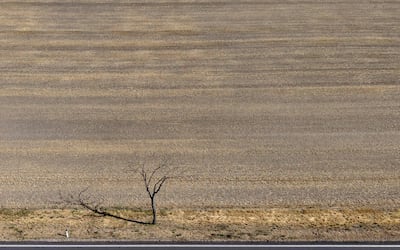A parched field in Austria. AFP