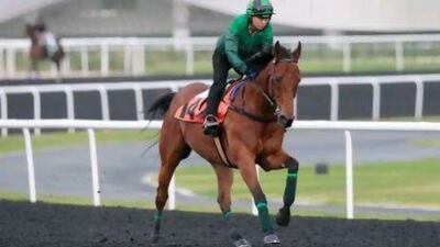 Joy And Fun is one of the Al Quoz Sprint runners who will be competing in the King's Stand Stakes on Tuesday.