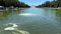 An algal bloom has turned the recently refurbished reflecting pool green. Thomas Watkins / The National