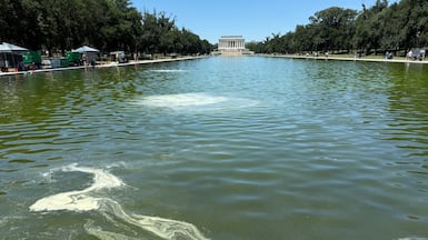An algal bloom has turned the recently refurbished reflecting pool green. Thomas Watkins / The National