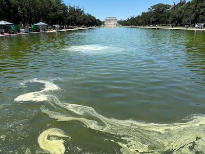 An algal bloom has turned the recently refurbished pool green. Thomas Watkins / The National