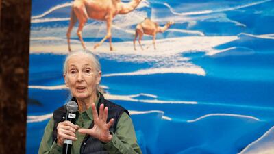 Dr Jane Goodall was in the country on Thursday to present awards to UAE chapters of Roots and Shoots and speak to school pupils. Victor Besa / The National