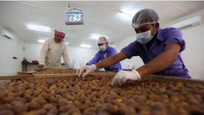 Workers sort dates at the Al Dahra Agriculture farm in Al Ain. It has been buying stakes in food companies in recent times. Pawan Singh / The National
