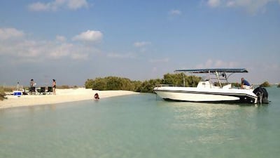 Capt Tony's offers boat tours to Dolphin Bay plus there's the option to camp on the beach and rent stand up paddle boards. Courtesy Captain Tony's