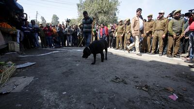 Jammu and Kashmir police officers inspect the grenade blast site with a sniffer dog, at a general bus stand in Jammu, the winter capital of Kashmir, India, 07 March 2019. EPA