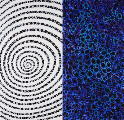 Don't Get Me Wrong is the outcome of five decades of abstraction by artist Nabil Nahas. Photo: Nabil Nahas / Lebanese Visual Art Association