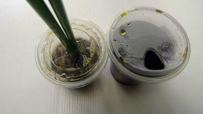 Starbucks announced that it plans to phase out all plastic straws from its 28,000 stores worldwide by 2020. Douglas Curran / AFP