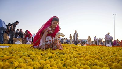 Thousands of volunteers laying out fresh flowers in an attempt to create the world's largest fresh flower carpet with the theme of Tolerance to highlight the UAE as a global capital for tolerance at Dubai Festival City. Leslie Pableo for The National