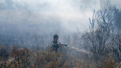 A forest ranger works to douse hotspots in an area hit by a wildfire in Algeria's Bejaia province. Reuters