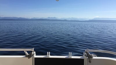 San Juan Islands, Washington. Photo by Rosemary Behan