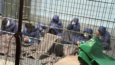 Palestinian prisoners captured in the Gaza strip pictured at a detention facility on the Sde Teiman military base in southern Israel. Breaking The Silence via AP