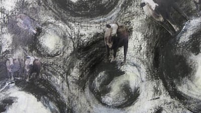 Cows on Asteroids by Hadil Moufti. Courtesy of Hadil Moufti and Showcase Gallery