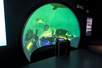 The portal offers a look deep below the region's waters. Victor Besa / The National