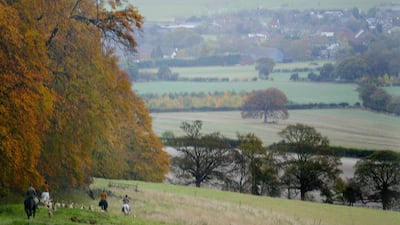 Land banking companies have enjoyed a poor reputation in the UK. Jim Watson / AFP