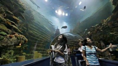 Tour guides Guo Jie, left, and Wen Xiang observe a coral reef and fish while touring the Sharjah Aquarium during a workshop for UAE tour guides.