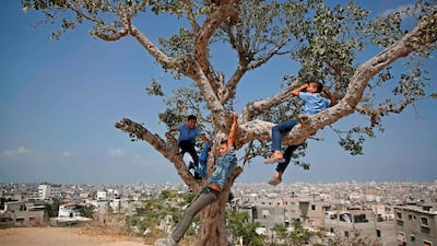 Palestinian schoolboys play on an old Sycamore tree on their way home from school in the Shujaiya neighbourhood east of Gaza City. AFP