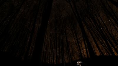 Adam Horvath from Hungary won the bronze prize in the Animals in their Habitat category. He took a picture of a badger in Bakonybel, Hungary