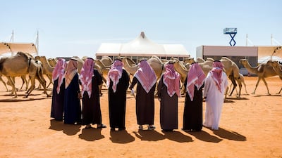 A jury rates camels during a beauty contest. Maxime Fossat for The National