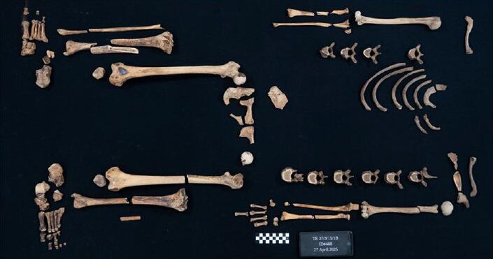Egypt's warrior princesses: Ancient bones reveal lives of trained female archers