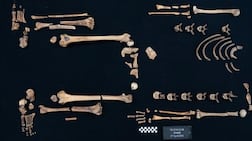 Researchers believe these are the remains of Princess Sathathormeryt, an Egyptian royal buried 4,000 years ago. Photo: Egyptian Museum