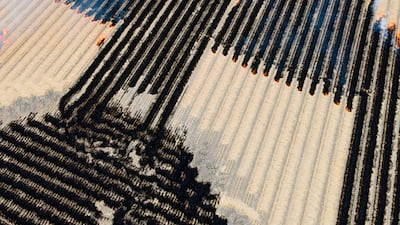 Hajime Hirano, Japan, first place, National Awards, Sony World Photography Awards 2023