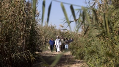 Journalists are given a tour of the Al Wathba Wetland Reserve. Christopher Pike / The National