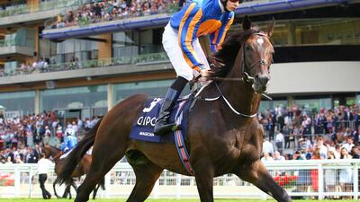 Magician and Joseph O'Brien are one of seven contesting the Arlington Million. Steve Davies / Racingfotos.com