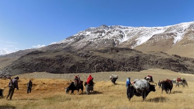 Wakhi nomad families travel on yaks in the Wakhan Corridor in Afghanistan's Badakhshan province on October 7, 2017. Beijing is in talks with Kabul to build a military base in the area as security against militants sneaking across the border into the restive Xianjing province. Gohar Abbas / AFP