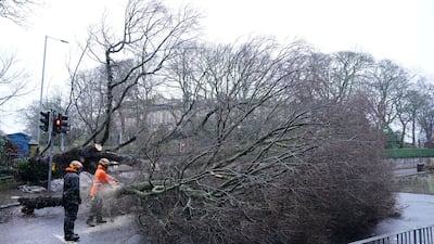 Workers remove a fallen tree in Edinburgh, Scotland. AP