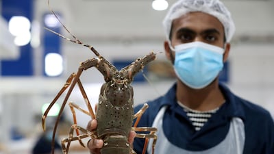 A fishmonger shows off a prize lobster at Deira Waterfront Market in Dubai, which experienced bumper sales during Eid Al Fitr. All pictures by Chris Whiteoak / The National