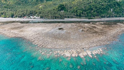 An aerial photo of the raised seabed, caused by a deadly earthquake, at the Pangyan Marine Sanctuary in Glan, Sarangani, in the Philippines. AFP